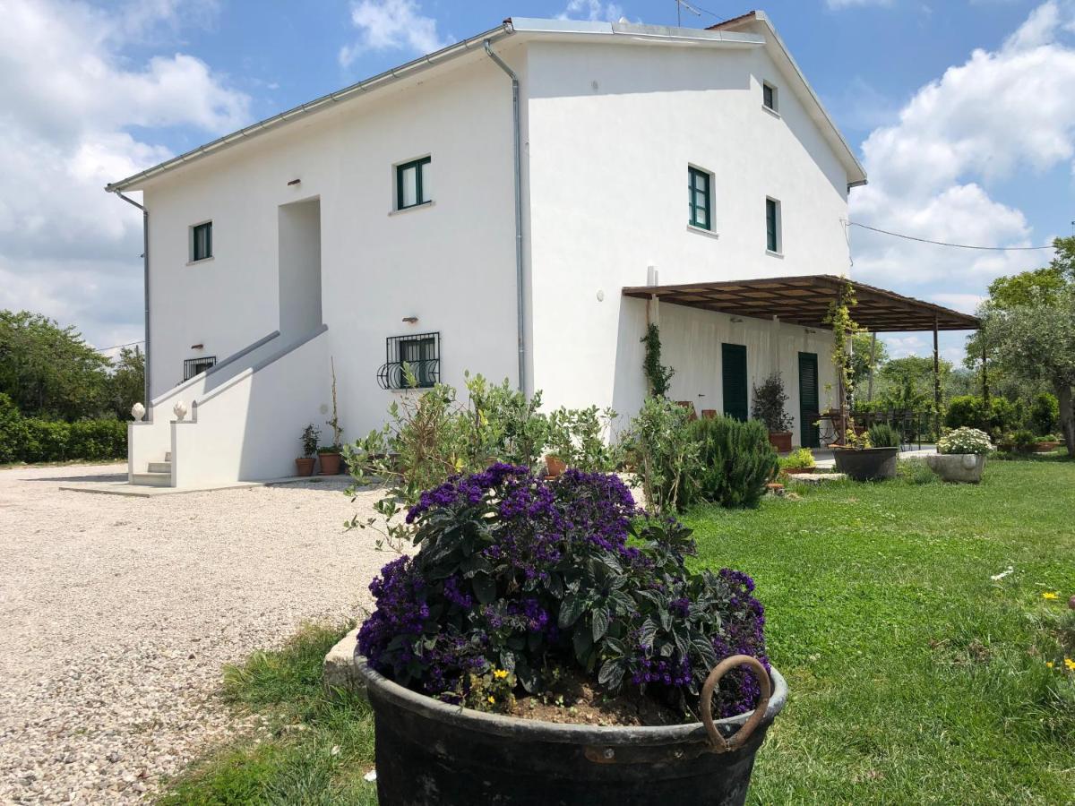 Villa Casa Agricola Scorziello Serre  Exterior foto